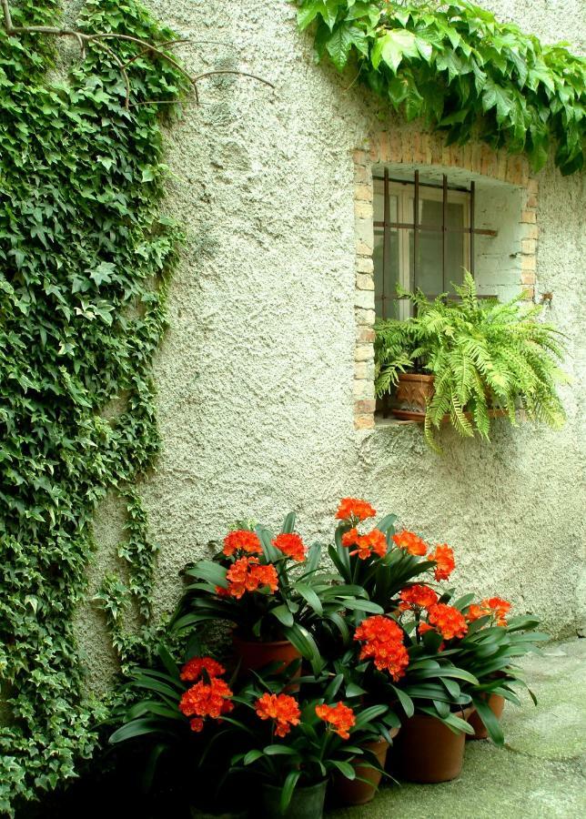 B&B Gil D'O Bertiolo Экстерьер фото